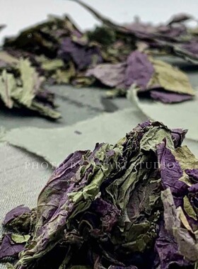 稻荷Inari 紫苏叶 绿色系天然植物染料 草木染材 手工扎染印染DIY