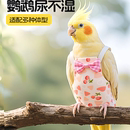 鹦鹉围兜鸟禽服饰防溅漏食垫背带式 外出专用蝴蝶结围裙
