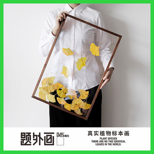 秋天主题植物标本挂画北欧树叶