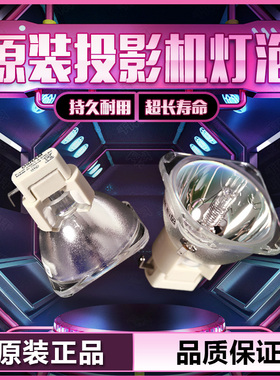 原装vivitek丽讯D941VX/D940VX/D942VX/D737VX/D740MX/D725VX/D725MX/D5510/D6015W/D6520/D6040投影机仪灯泡