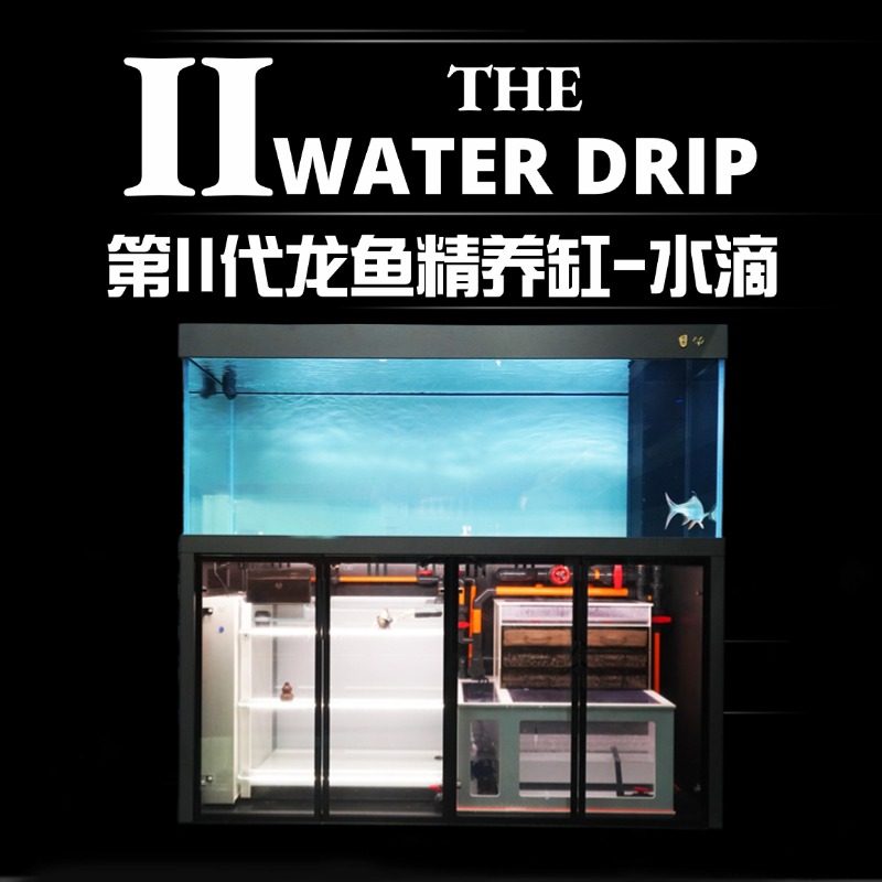 水滴定制精养缸和兴满堂鸿联名滴流过滤超白静音带困水龙虎魟鱼