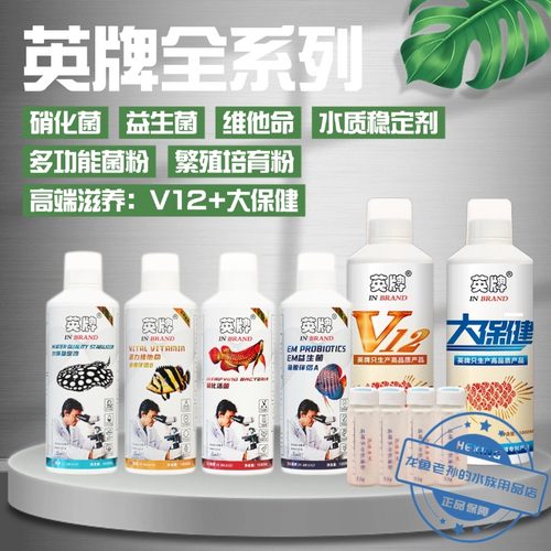 英牌硝化菌水稳多功能菌粉龙鱼