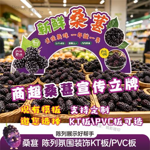 水果店桑葚氛围造型展示直播手举牌布置陈列KT板PVC5件包邮