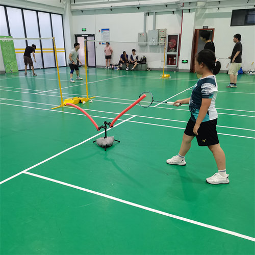 霸王挑羽毛球挑球器万向调节高低可调培训家用练习携带方便易收纳