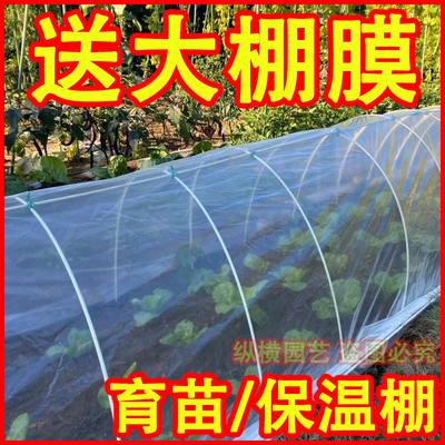 【送塑料膜】小拱棚农用弯管家用农用工具蔬菜架子保温保暖