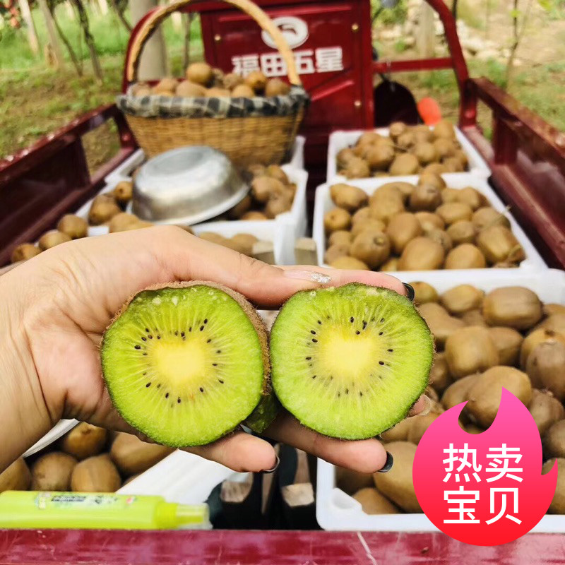 眉县徐香绿心猕猴桃 陕西特产 奇异果/猕猴桃