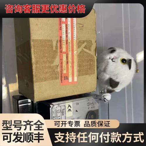 议价R833T继电器 R 833 T Relais DC1.5-可维修