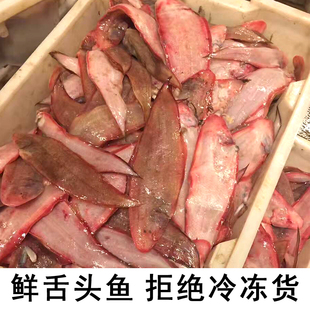 新鲜舌头鱼新鲜非冷冻小踏板鱼牛舌头鱼龙利鱼新鲜海鲜水产 500g