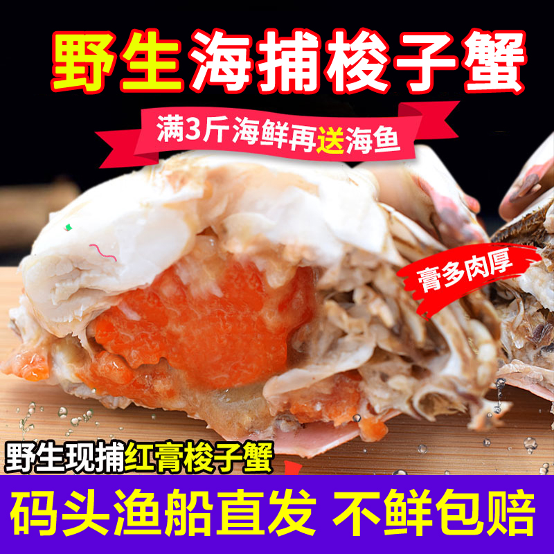 梭子蟹鲜活满黄母蟹红膏蟹飞蟹
