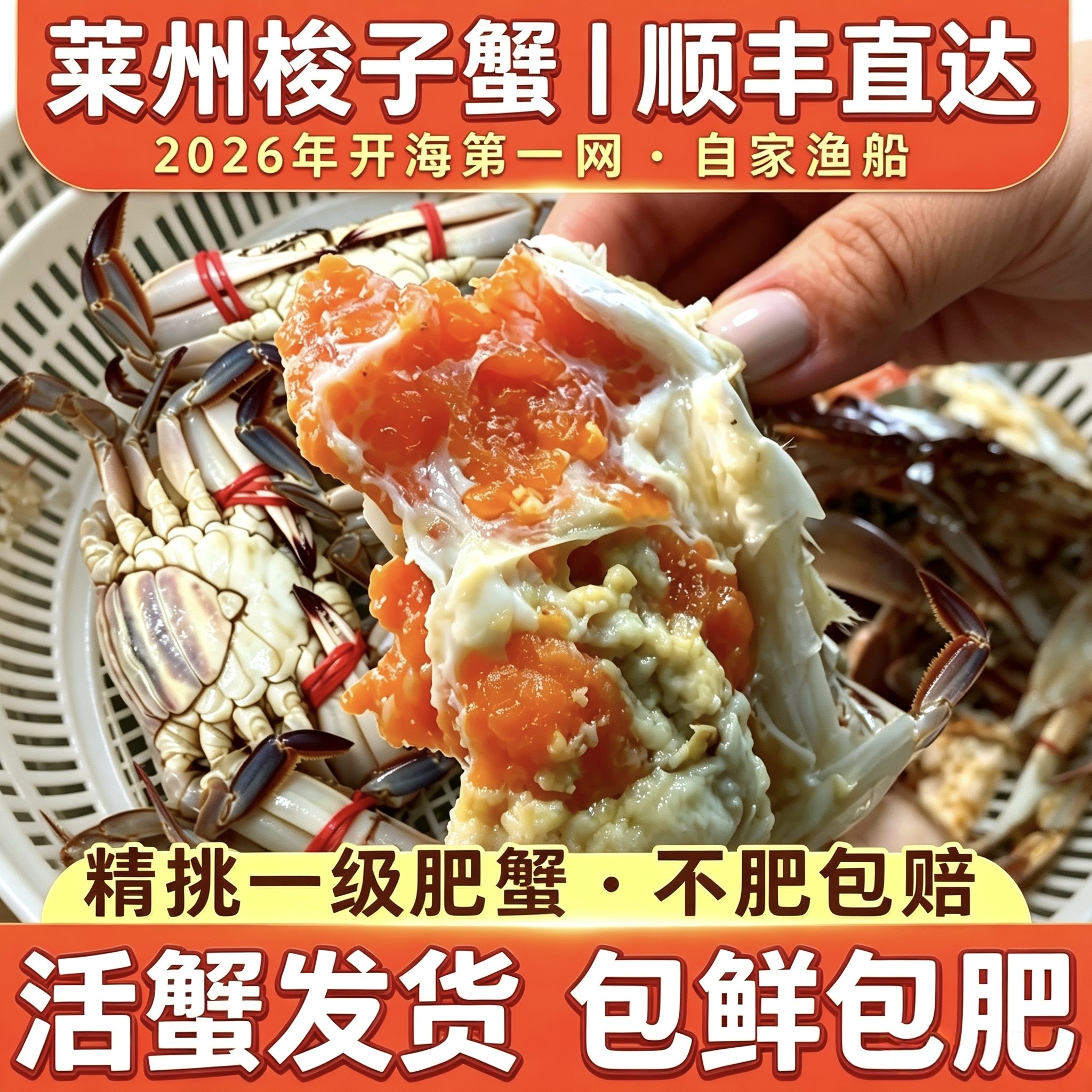 活鲜莱州湾梭子蟹大螃蟹满黄膏母蟹红膏蟹海鲜礼盒【保鲜不保活】