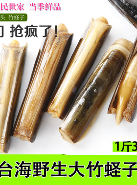 蛏子肉 大竹蛏子 鲜活 新鲜水产海圣子蛏子王 竹节蛏子 烟台海鲜