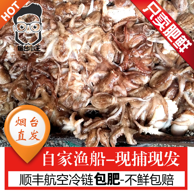 八爪鱼 鲜活海鲜大爆头鲜八爪鱼海鲜鲜活小章鱼长腿烙饼章鱼活体