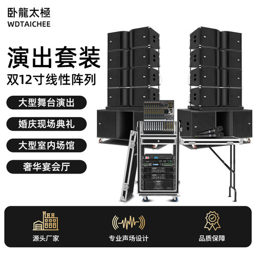 WDTAICHEE双12寸线阵音响套装