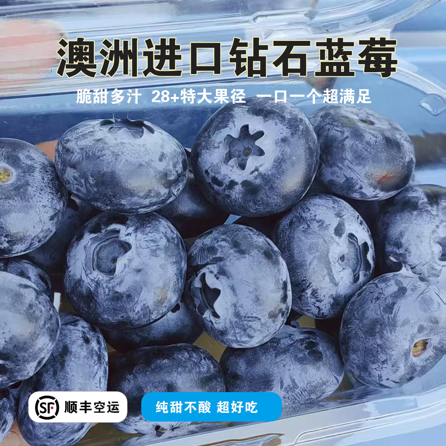 澳洲进口钻石蓝莓28+特大果