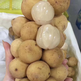 现货泰国龙宫果酸甜 鲜椰色果龙贡果新鲜龙供果特甜3斤装奇特水果