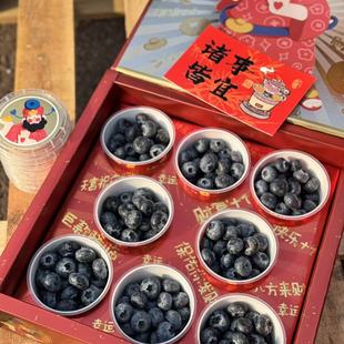 包邮 8杯新鲜水果L25纯甜蓝莓节日礼品SF 100g 云南花香蓝莓礼盒装