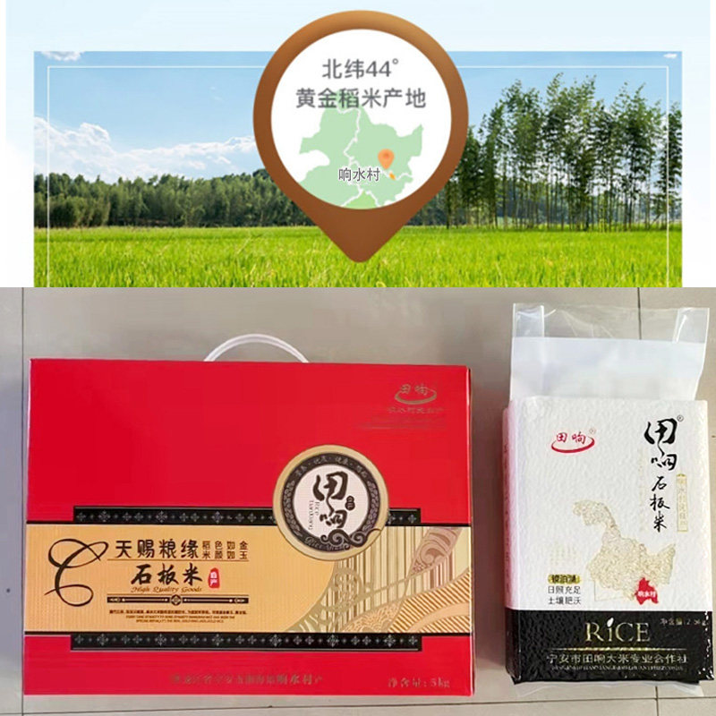 石板大米响水新米田响稻花香大米