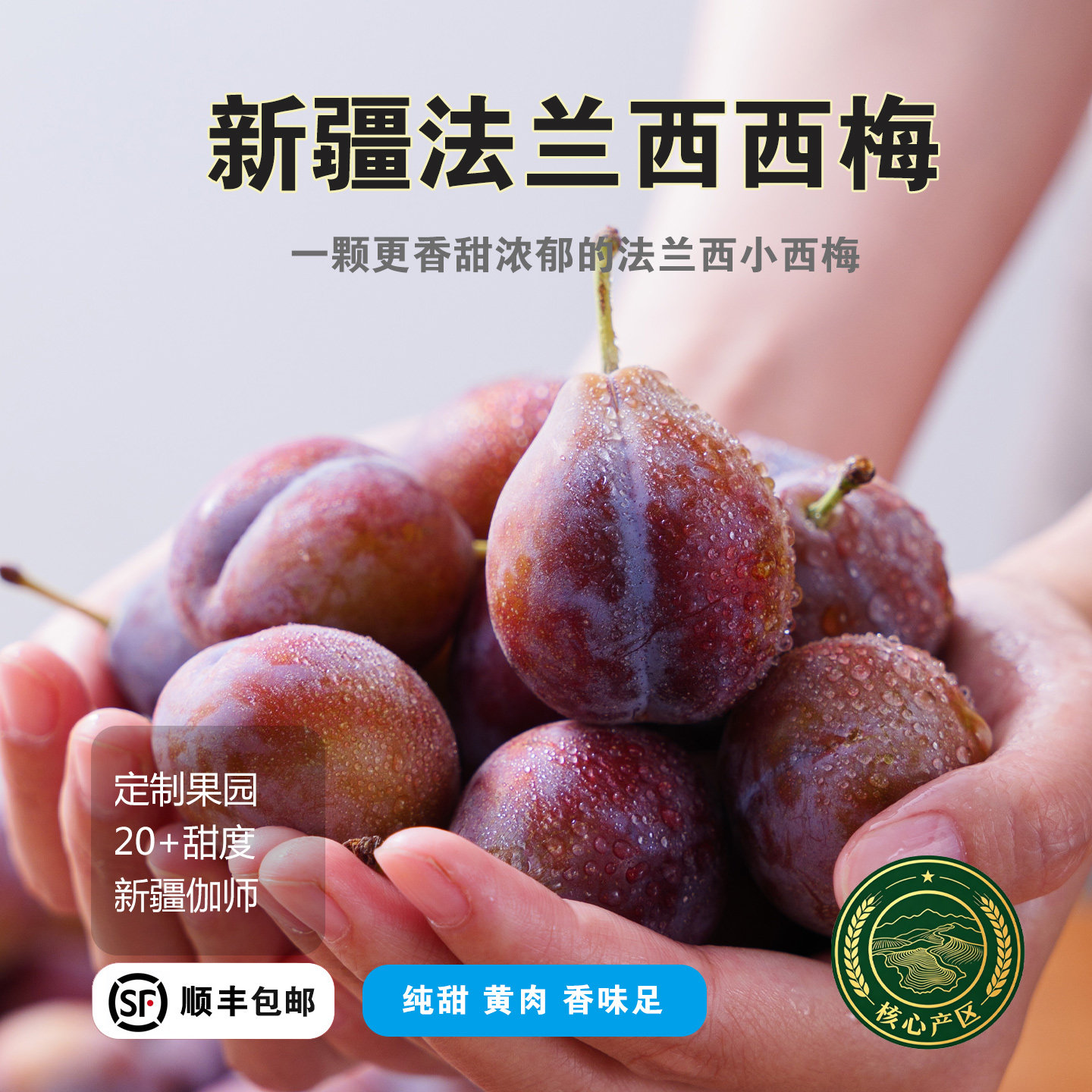 新疆喀什法兰西西梅大果礼盒装