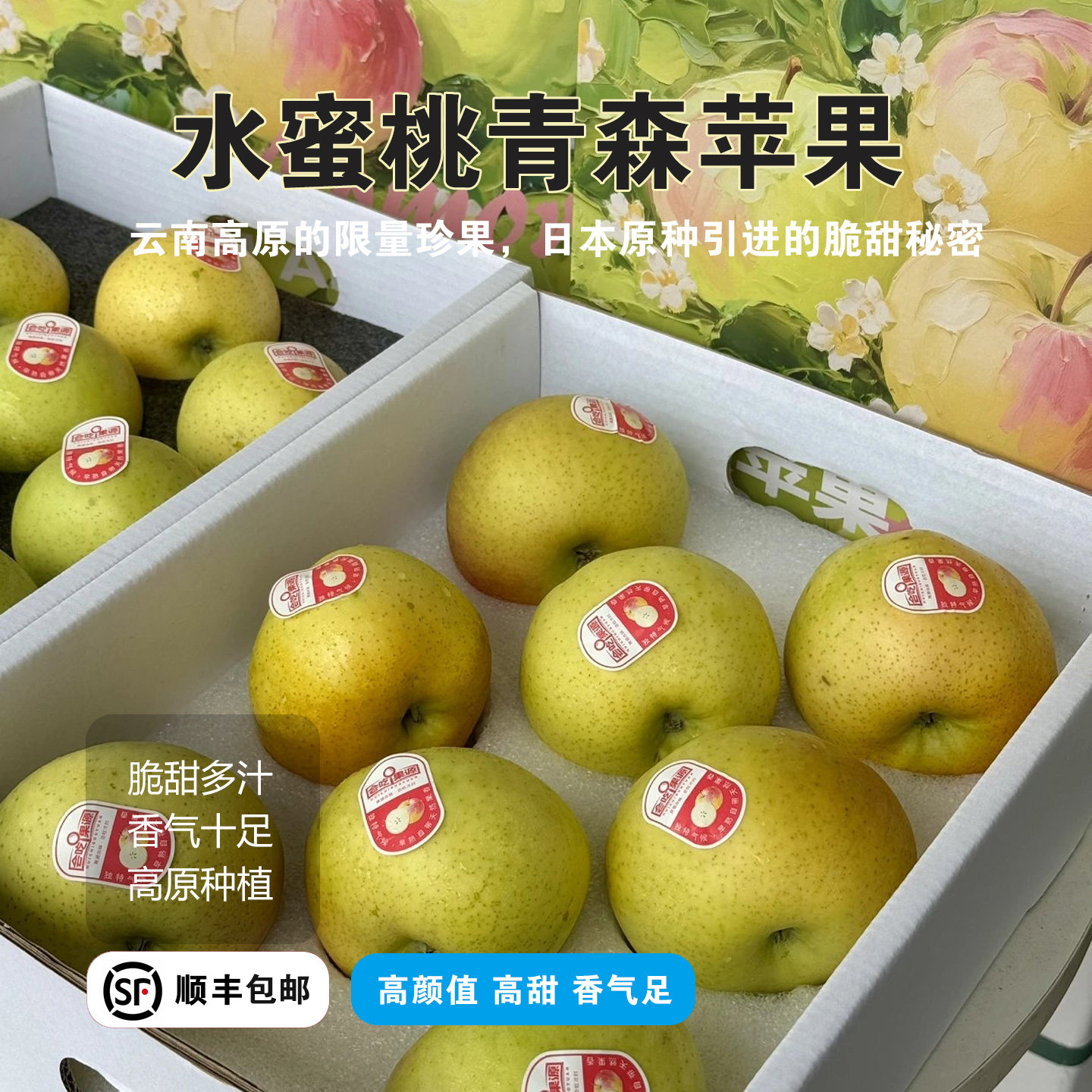 会吃果源云南青森水蜜桃苹果礼盒装王林香脆纯甜青苹果应季SF包邮
