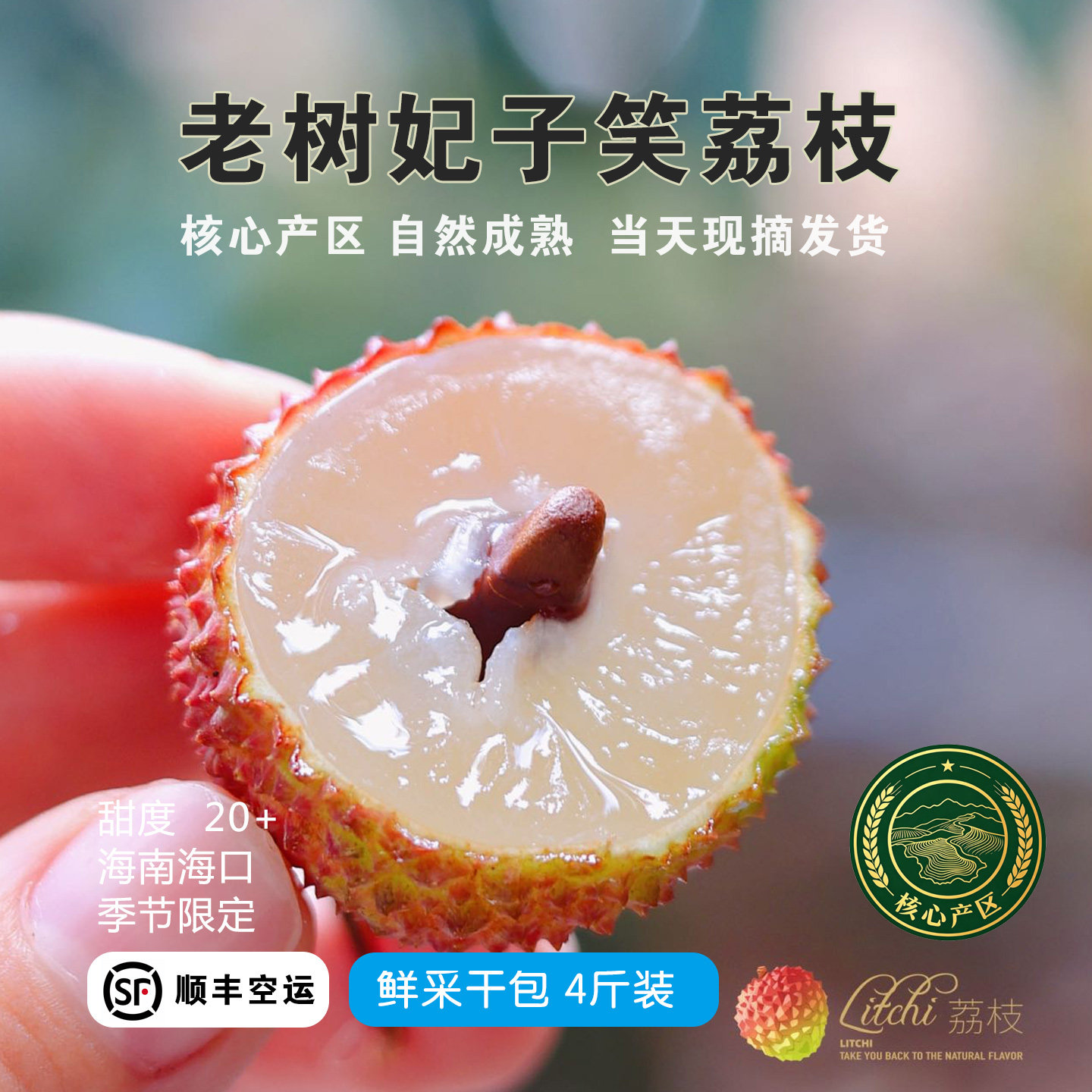 空运老树白糖罂荔枝4斤礼盒装小核肉厚新鲜现摘自然成熟顺丰包邮