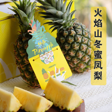 火焰山冬蜜凤梨礼盒响鲜石头地凤梨台农十三号新鲜现摘水果SF包邮