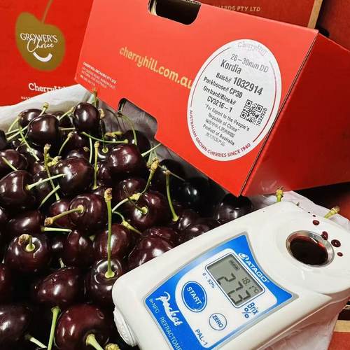 澳洲进口cherryHill高山车厘子科迪亚28+kordia红盒礼盒顺丰空运