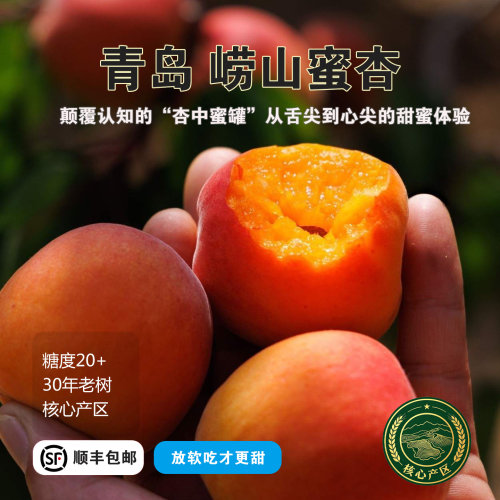 飨实崂山蜜杏特级果王