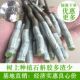 正宗新铁皮石斛鲜条500g中药材正品 三年生霍山滋补枫斗基地直销