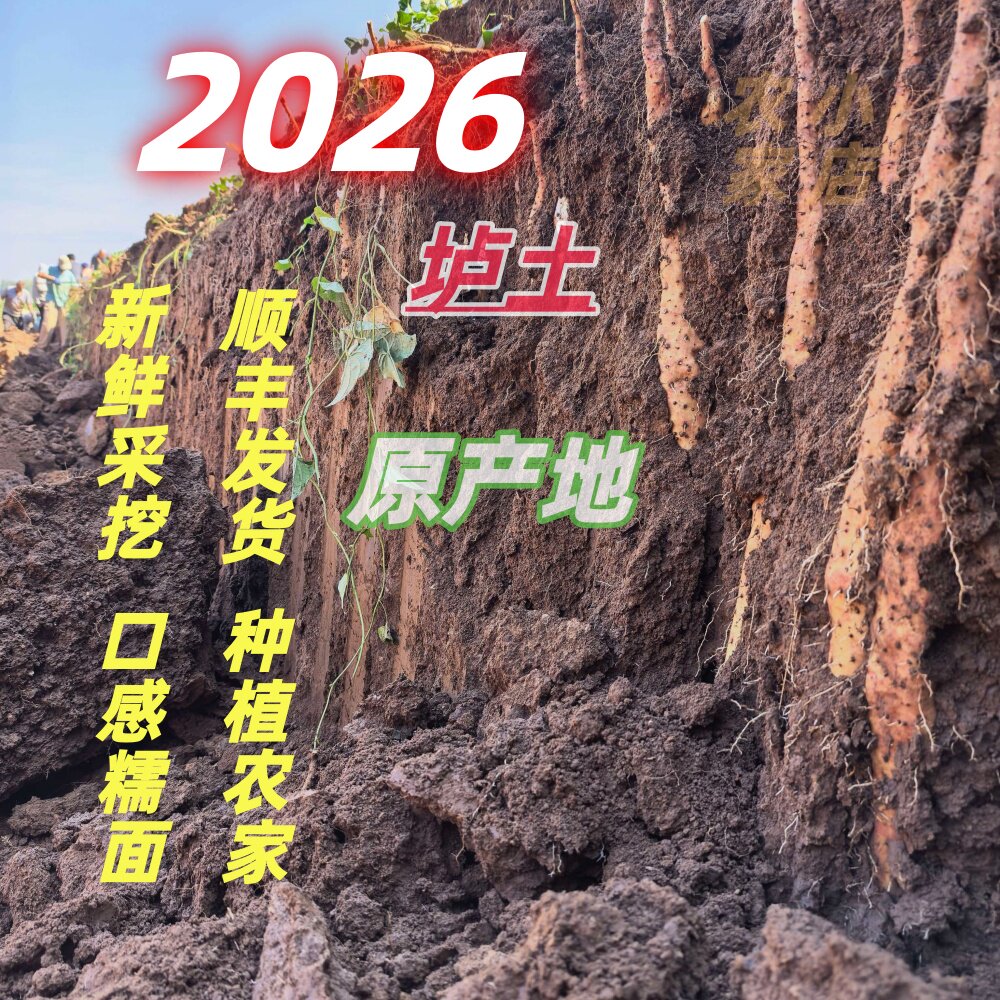 焦作温县特产铁棍山药新鲜垆土铁杆怀淮山药包邮红斑弯曲糯面