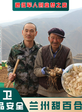【兰州战友提供】精选优质无硫磺大片甜百合干 无添加更天然