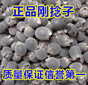 野生山捻子 中药材桃金娘干果500g包邮 豆捻岗念子岗捻子泡酒佳品