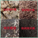 其他活动块状纯牛粪新型草木灰农家肥种花种菜发酵羊粪有机肥料纯