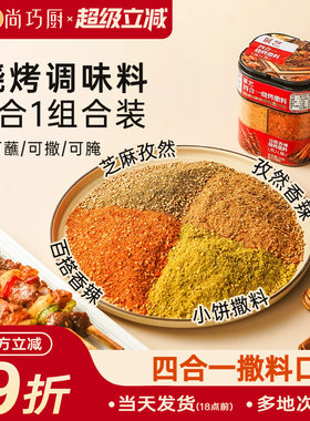 展艺四合一烧烤撒料多用调味料