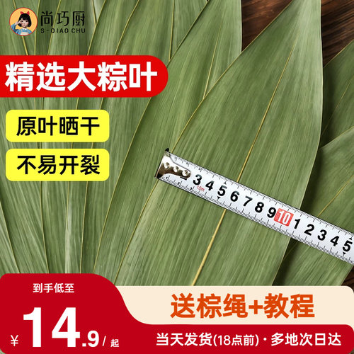 展艺粽子叶干棕叶大号新鲜包粽子新竹叶diy材料端午家用商用批发