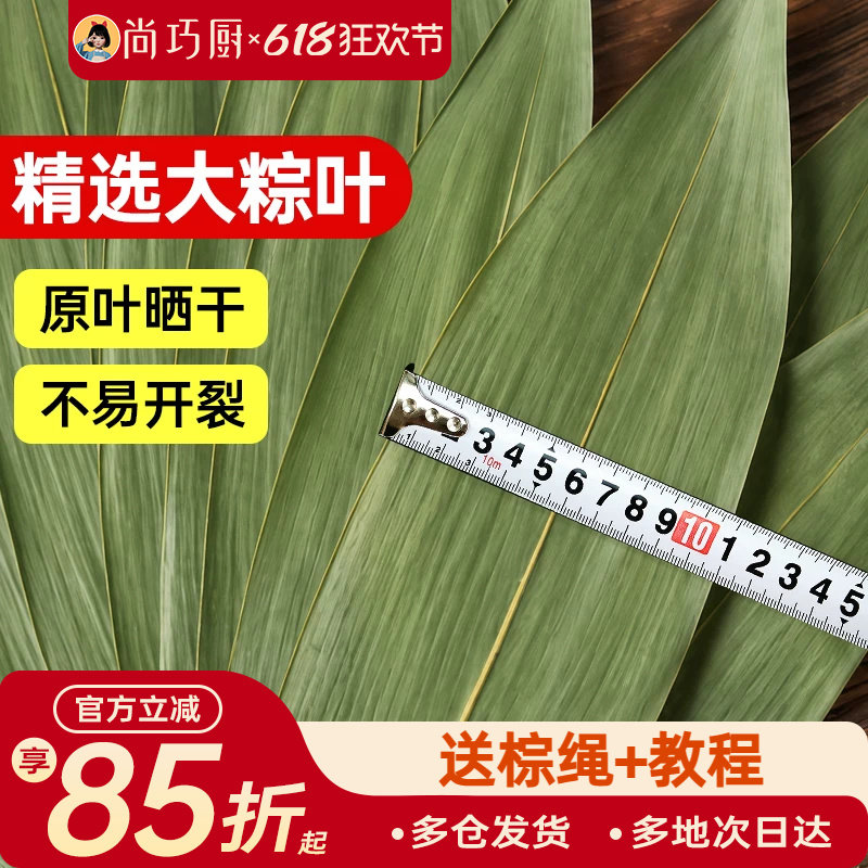 展艺粽子叶干棕叶大号新鲜包粽子新竹叶diy材料端午家用商用批发