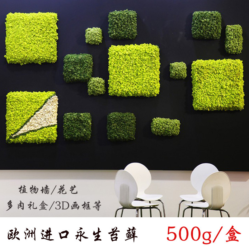 永生苔藓植物墙真苔藓保鲜永生花盒DIY材料仿真植物墙背景墙定制