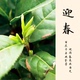 绿茶 2026信阳毛尖明前茶 新茶明前一级 预售迎春