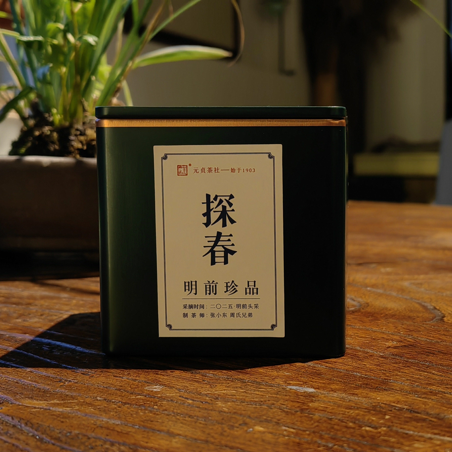 【探春】2026信阳毛尖明前茶 绿茶 新茶明前珍品级