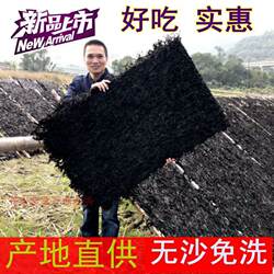 新货方块紫菜汤干货商用免洗无沙天然日晒500产地直发食堂紫菜