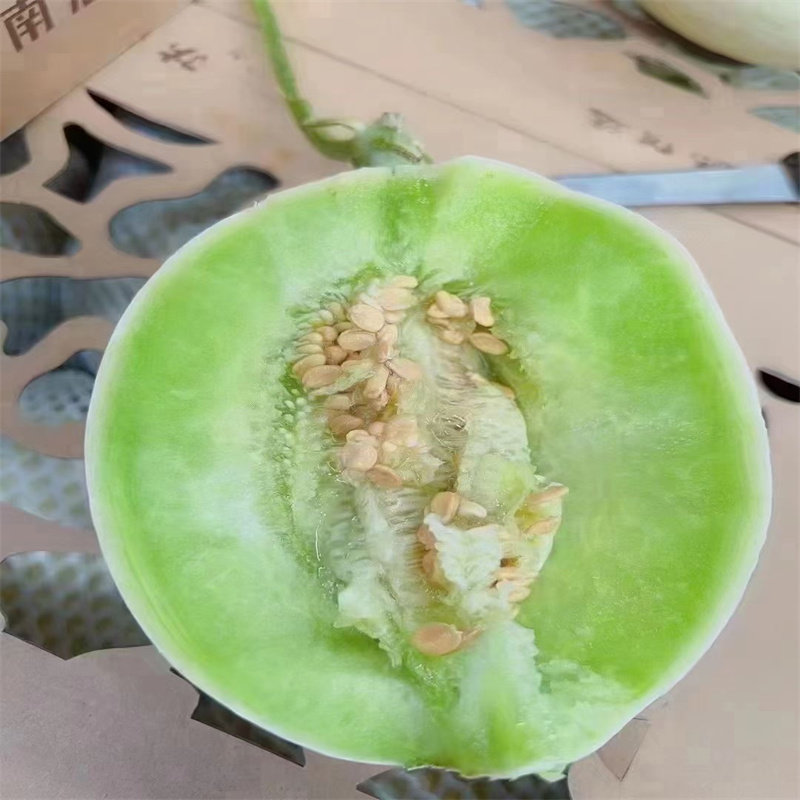 正宗南汇玉菇甜瓜整箱4-5个大果新鲜现摘现发10斤软肉绿肉白皮