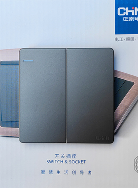 正泰开关86型 NEW2G系列NEW2-G07206灰色二开多控面板 大板二开多