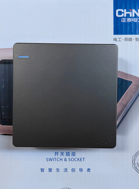 正泰开关NEW2G系列 大板灰色一开双控开关面板 大板一开双控10安