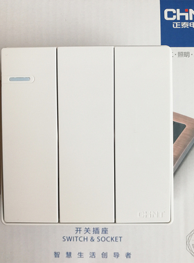 正泰开关插座86型 NEW2-C07310一多控二开双控白色无边框带钢架