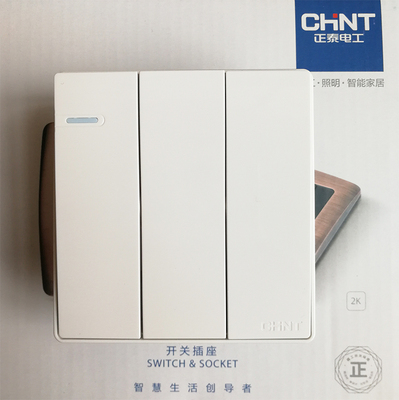 正泰开关插座86型 NEW2-C07310一多控二开双控白色无边框带钢架
