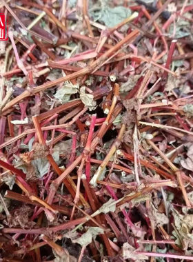 新鲜河白草中草药杠板归蛇倒退