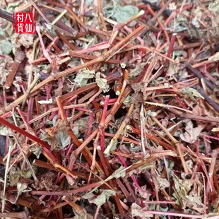 农家自晒杠板归 老虎刺新鲜河白草 广西中草药蛇倒退蛇不过干品