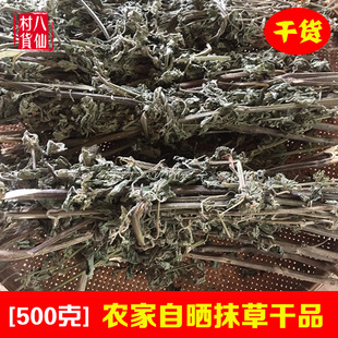 广西新晒抹草 新鲜广防风 落马衣枝叶 排风草 中草药茉草防风草叶
