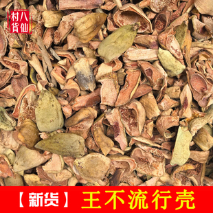 王不留行壳 新鲜中药材凉粉果 薜荔果 野生王不留行 木莲藤木馒头