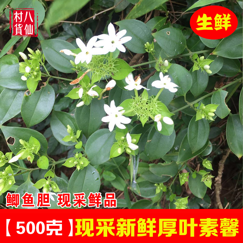 查看源网页