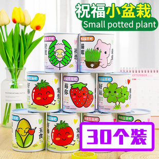 儿童节罐装种植盆栽生日礼品植物盲盒全班分享六一礼物幼儿园奖品